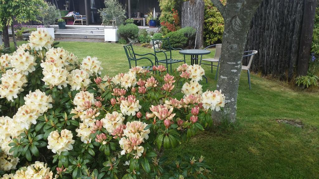 Alpine Rock B&B Te Anau Bagian luar foto